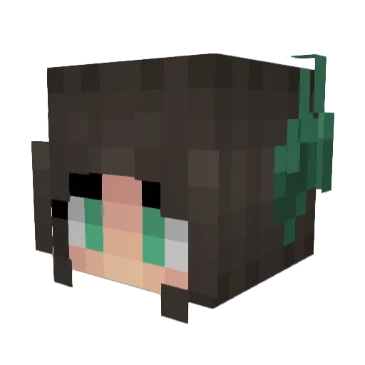 Amexx Minecraft avatar head, 3D render