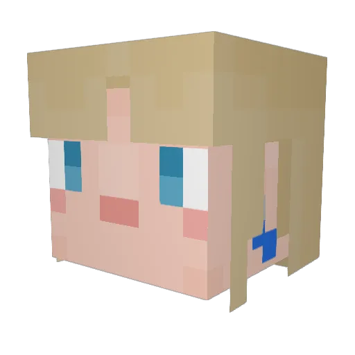 Ameydinn Minecraft avatar head, 3D render