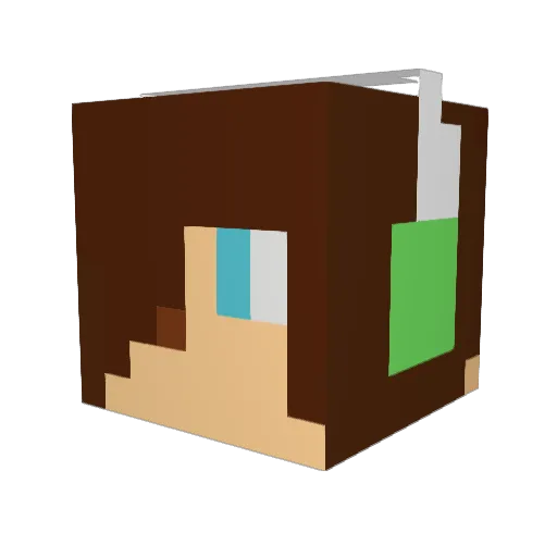 Ami0317 Minecraft avatar head, 3D render