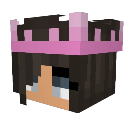 Ami11 Minecraft avatar head, 3D render