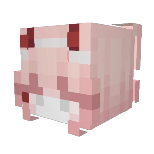 Ami20 Minecraft avatar head, 3D render