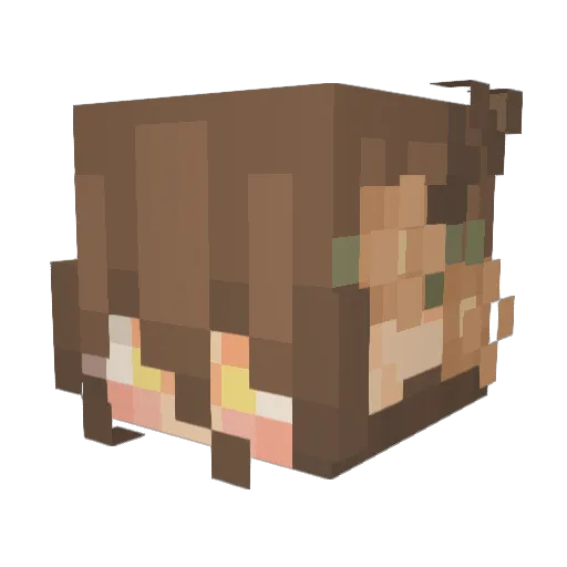 Ami_The_Witch Minecraft avatar head, 3D render