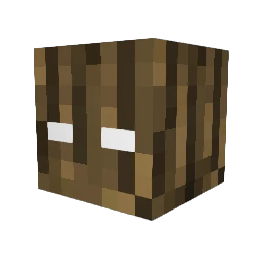 Amias21 Minecraft avatar head, 3D render