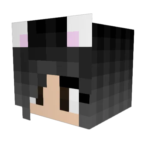 Amiee6 Minecraft avatar head, 3D render