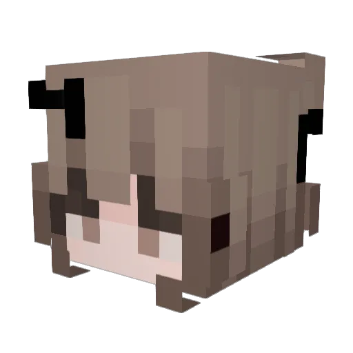 Amieyang Minecraft avatar head, 3D render