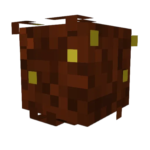 Amigo781 Minecraft avatar head, 3D render