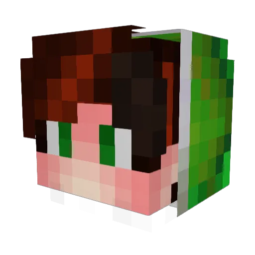 AmigoNARA Minecraft avatar head, 3D render