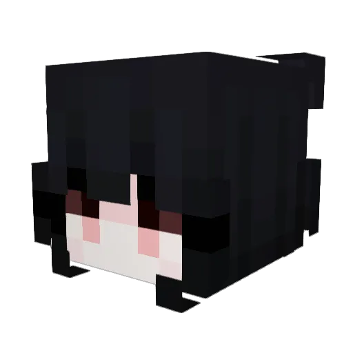 Amikoo42 Minecraft avatar head, 3D render