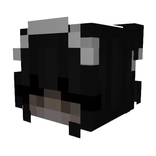 Amilleon Minecraft avatar head, 3D render