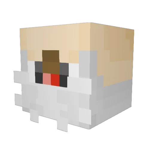 AmimalCotting Minecraft avatar head, 3D render