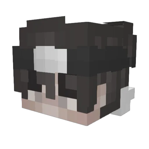 AminLoVes Minecraft avatar head, 3D render