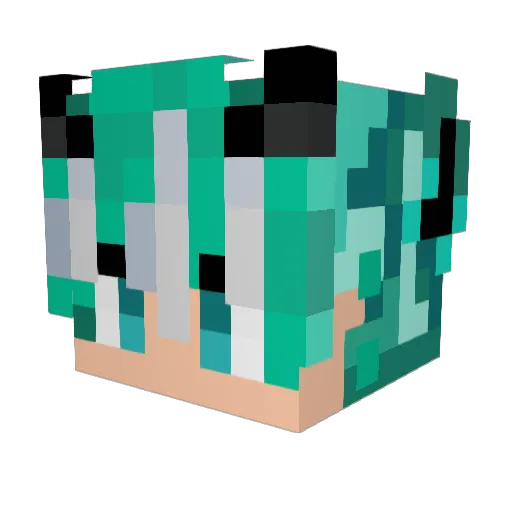Amin_b0105 Minecraft avatar head, 3D render