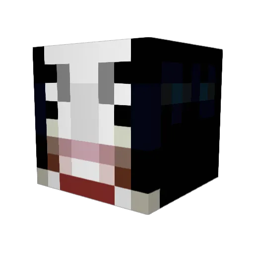 AminaAynan Minecraft avatar head, 3D render