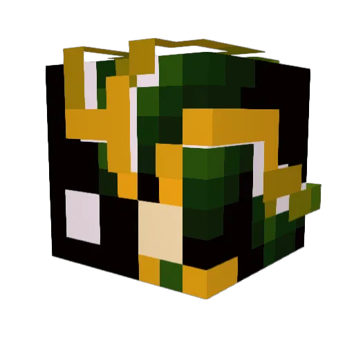 Aminity420 Minecraft avatar head, 3D render
