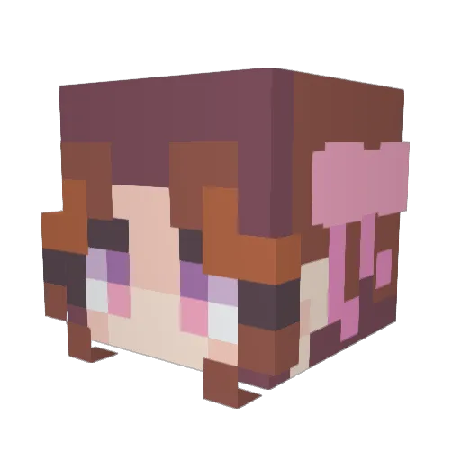 Amiodin91 Minecraft avatar head, 3D render