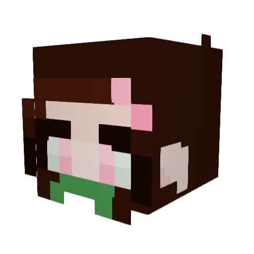 Amir2402 Minecraft avatar head, 3D render