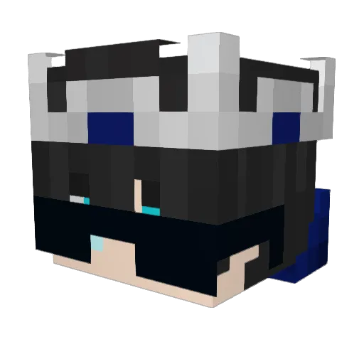 AmirTamimi16 Minecraft avatar head, 3D render