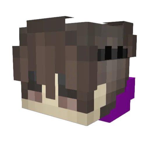 Amir_Gamer_ Minecraft avatar head, 3D render