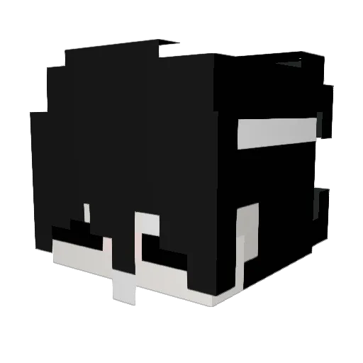 Amir_Lei Minecraft avatar head, 3D render