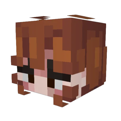 Amira___ Minecraft avatar head, 3D render