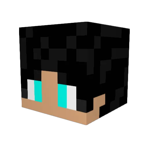 Amirrezak1ng Minecraft avatar head, 3D render