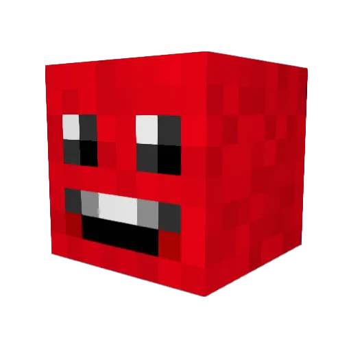 AmisKuukkeli Minecraft avatar head, 3D render