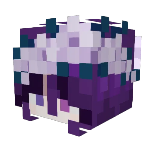 Amitzye Minecraft avatar head, 3D render