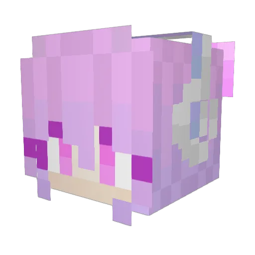 AmmeRae Minecraft avatar head, 3D render