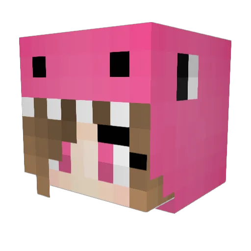 Ammi03 Minecraft avatar head, 3D render
