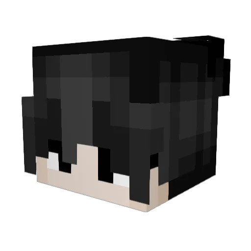 Ammofasa26 Minecraft avatar head, 3D render