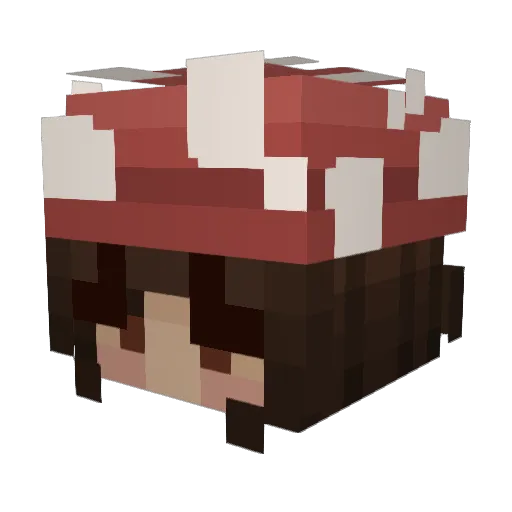 Amne_cc Minecraft avatar head, 3D render