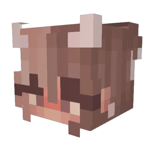Amnemone Minecraft avatar head, 3D render