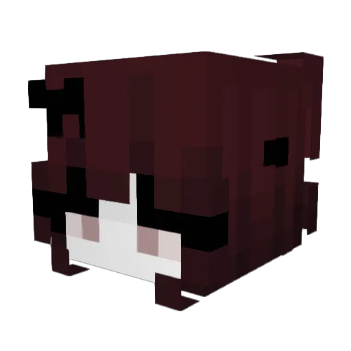 Amnesja Minecraft avatar head, 3D render