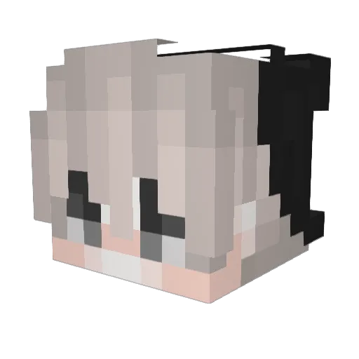 Amogus_Drip187 Minecraft avatar head, 3D render