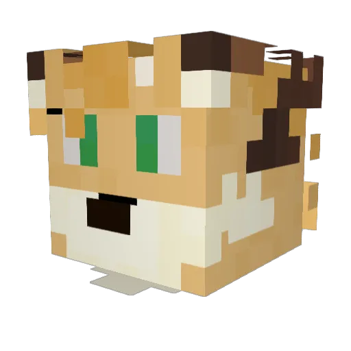 AmokeusRotasch Minecraft avatar head, 3D render