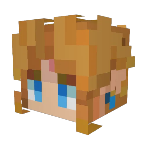 Amoniak_acid Minecraft avatar head, 3D render