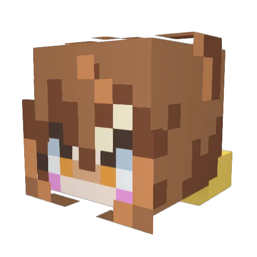 Amonio1234 Minecraft avatar head, 3D render