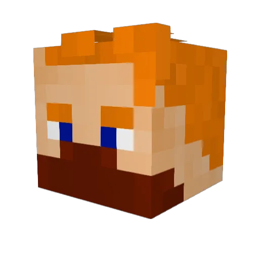 AmopaJI Minecraft avatar head, 3D render