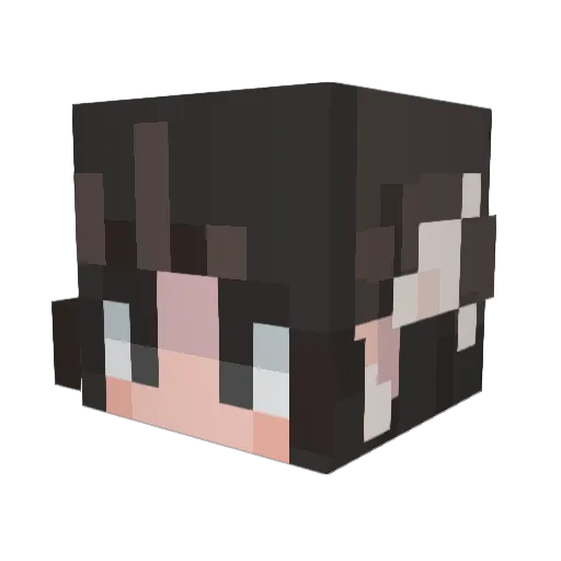 Amor_AE Minecraft avatar head, 3D render