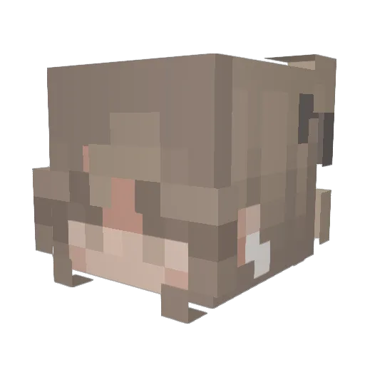AmoraSenpai Minecraft avatar head, 3D render