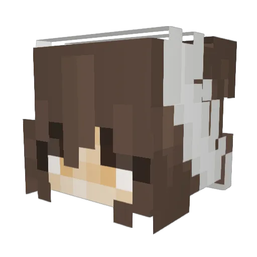 Amoratata119 Minecraft avatar head, 3D render