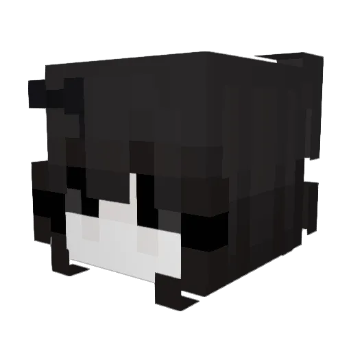 AmourParanoie Minecraft avatar head, 3D render