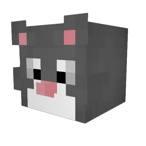 Amourousity Minecraft avatar head, 3D render