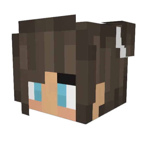 AmoyTV Minecraft avatar head, 3D render