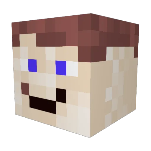 Ampersecvolt Minecraft avatar head, 3D render