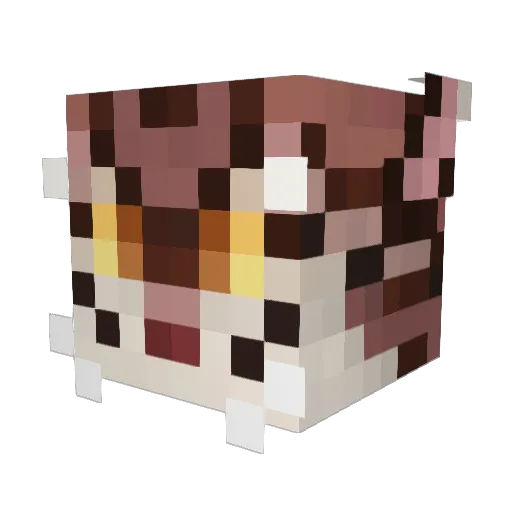 Amphimere Minecraft avatar head, 3D render
