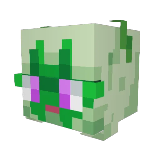 Ampirage Minecraft avatar head, 3D render