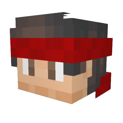 Amplifyy Minecraft avatar head, 3D render