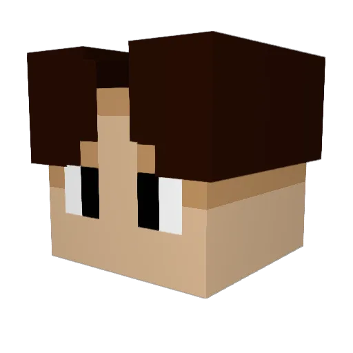 Ampyyy11 Minecraft avatar head, 3D render