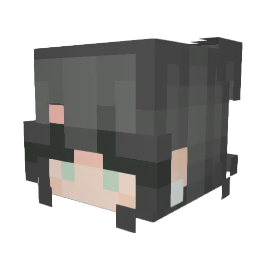 Amrich2004 Minecraft avatar head, 3D render